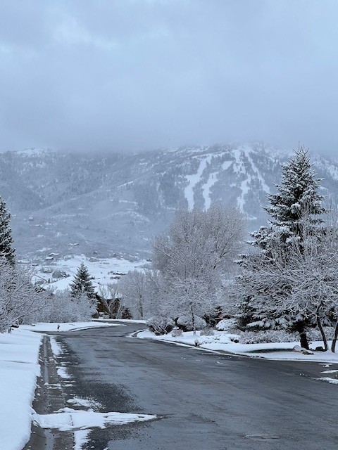 fairways-snowy-road
